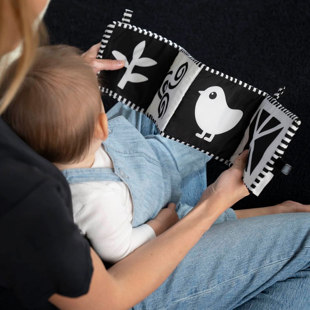 BABY Einstein Counting at the Farm™ mjuk aktivitets tygbok