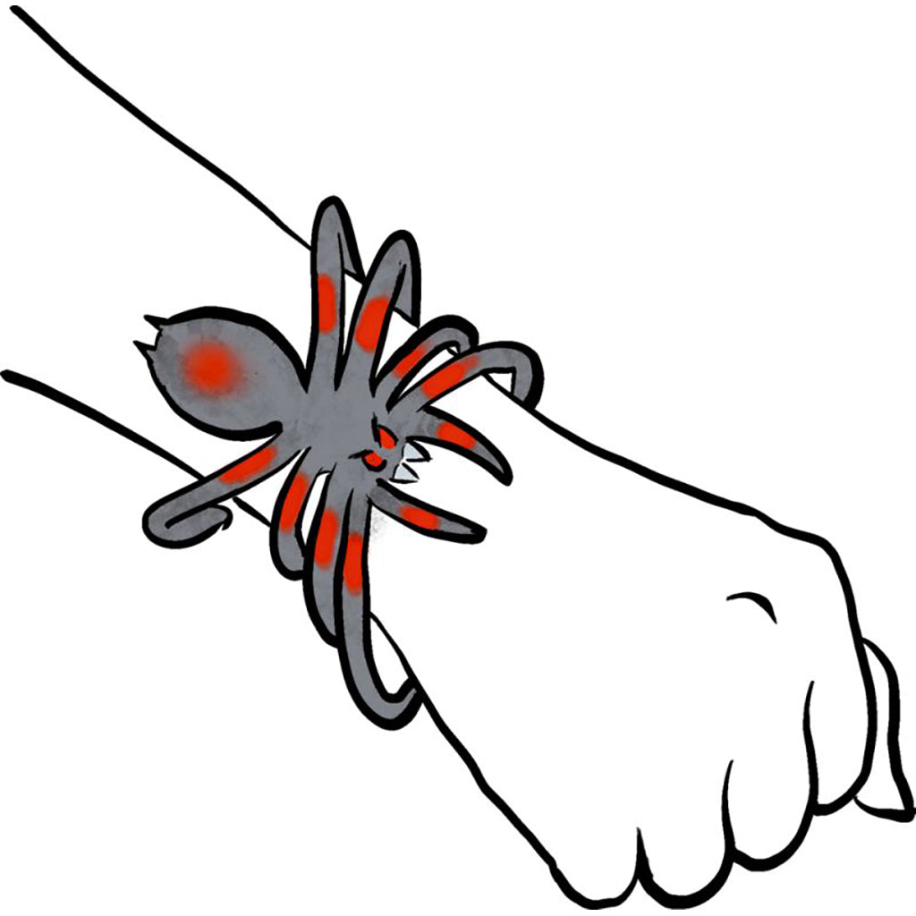 Wild+ cool, Gummi edderkop - flera färger