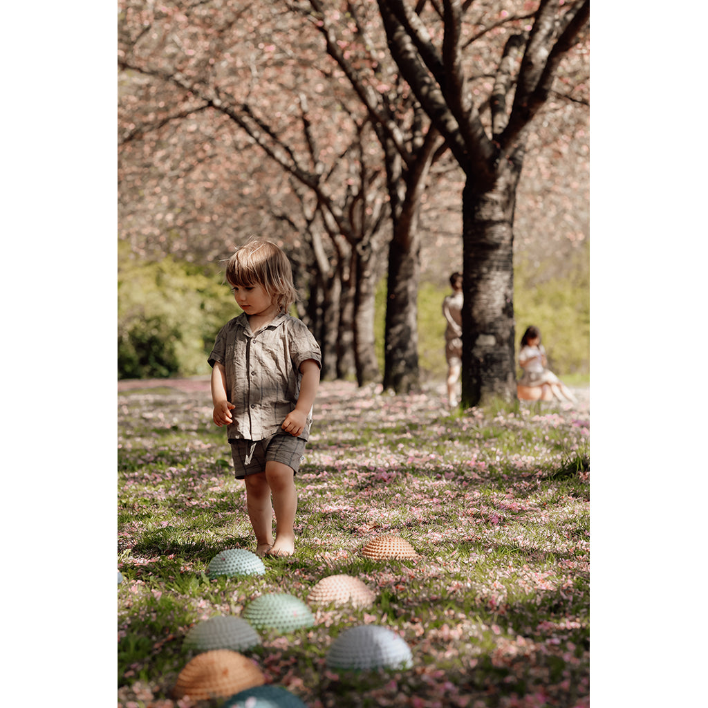 Find that Hipp, Sansesten, set med 4 st - Solnedgång