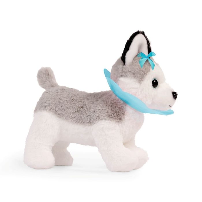 Pucci Pups Husky hos veterinären