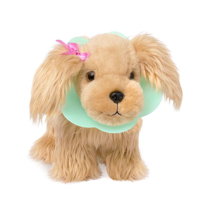 Pucci Pups Veterinär Cocker
