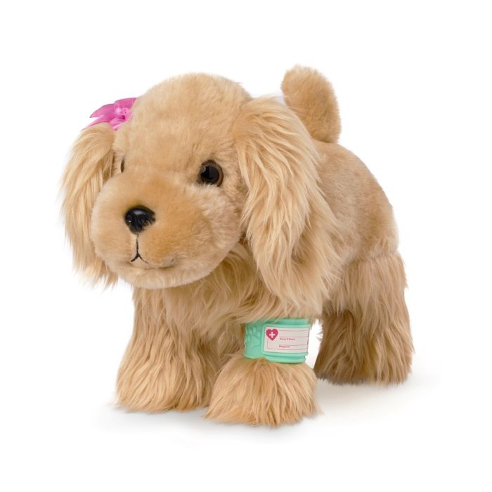 Pucci Pups Veterinär Cocker