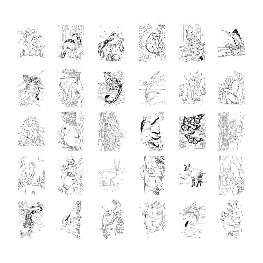 Kidywolf Kidydraw, ritbräda med ljus och mallar – Animals
