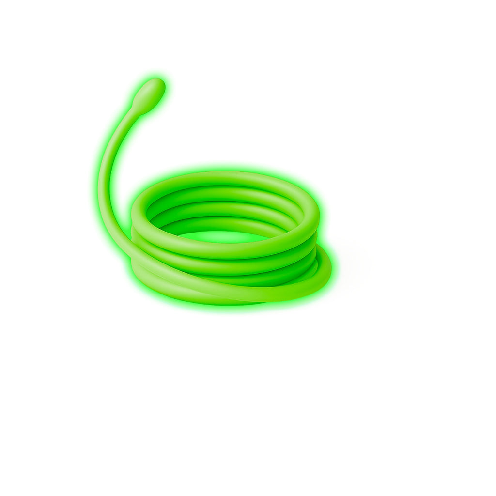 Kidyneon, DIY självlysande bilder med grön neontråd - Dinosaur