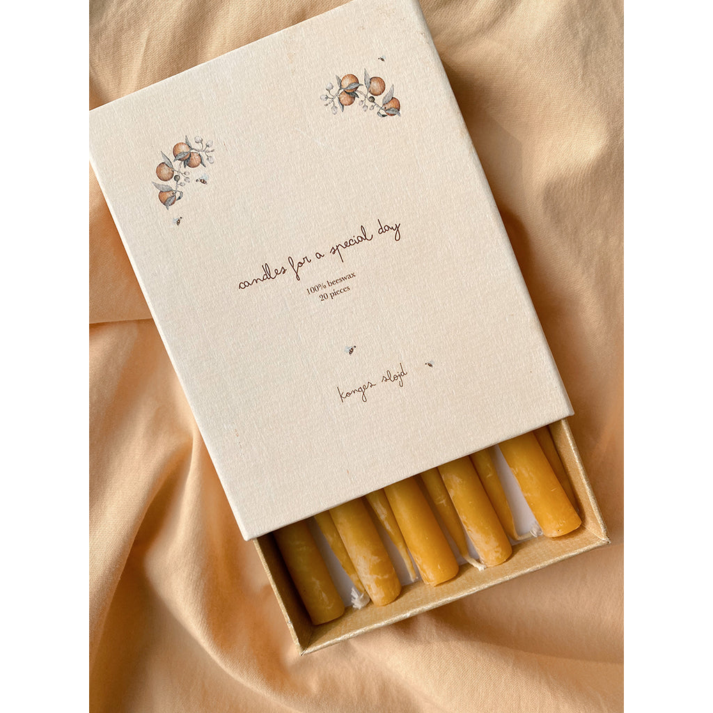 Konges Sløjd ljus till födelsedagståg, Nature