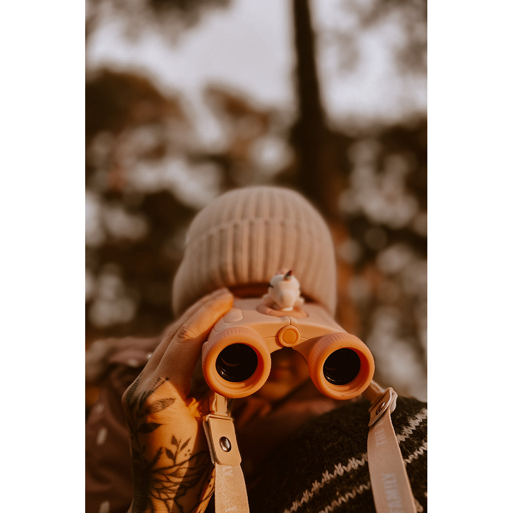 The ZooFamily, Zoo Eyes kikare - Räv