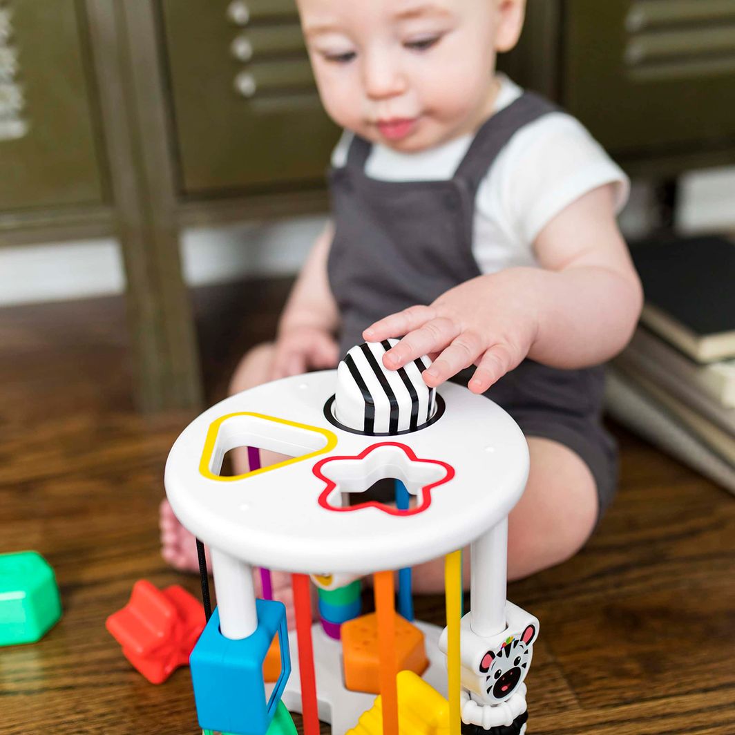 BABY EINSTEIN Baby Einstein Zen & Cal’s Playground™ sensoriskt sorteringsleksak