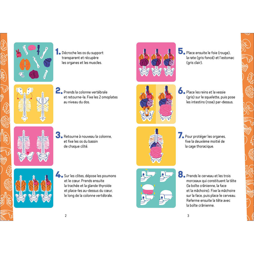 Auzou Aktivitetslåda, Upptäck kroppen – ge barnen en spännande introduktion till kroppens mysterier genom roliga aktiviteter.