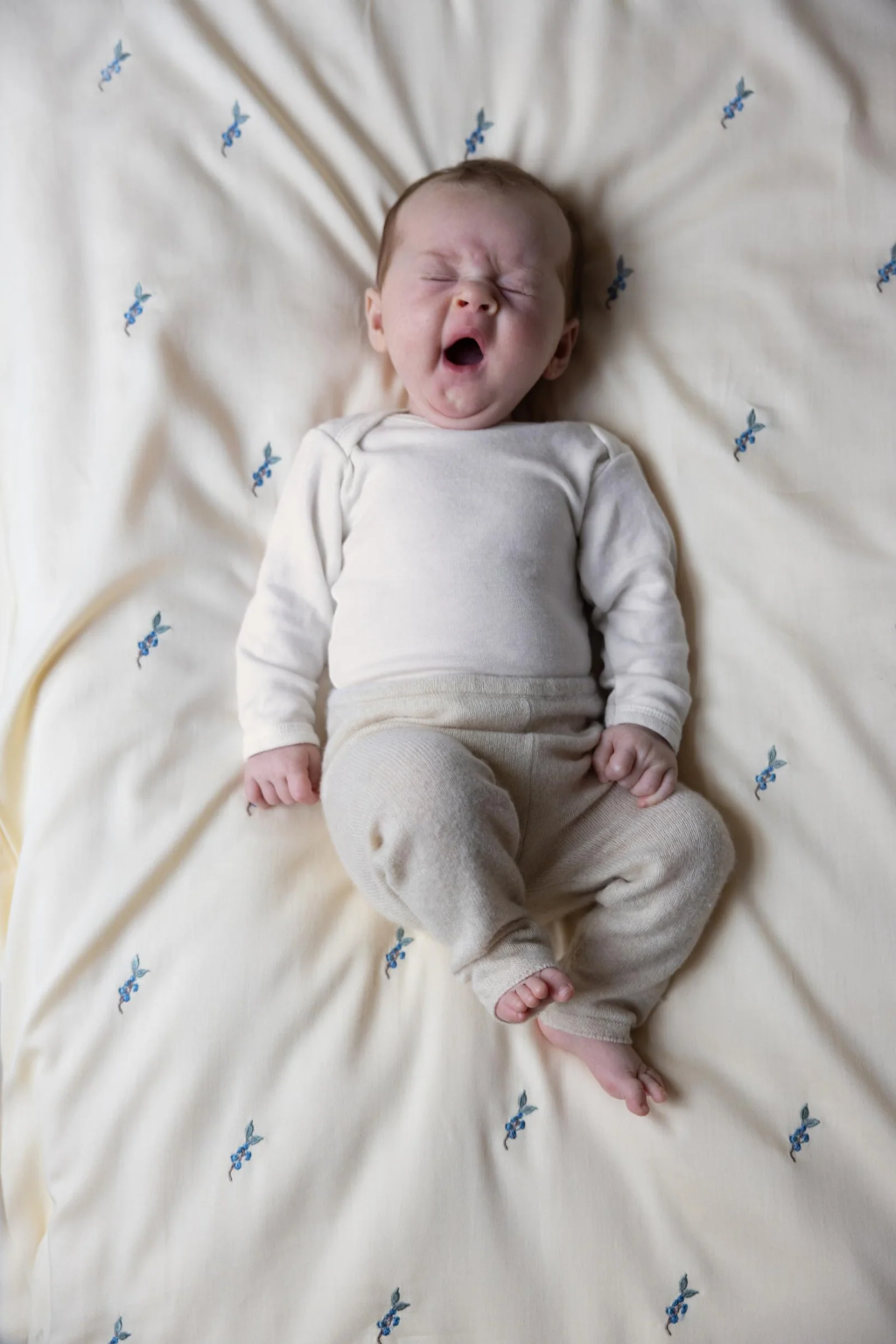 Cam Cam babysengetøj, Økologisk, Broderet - Blueberries