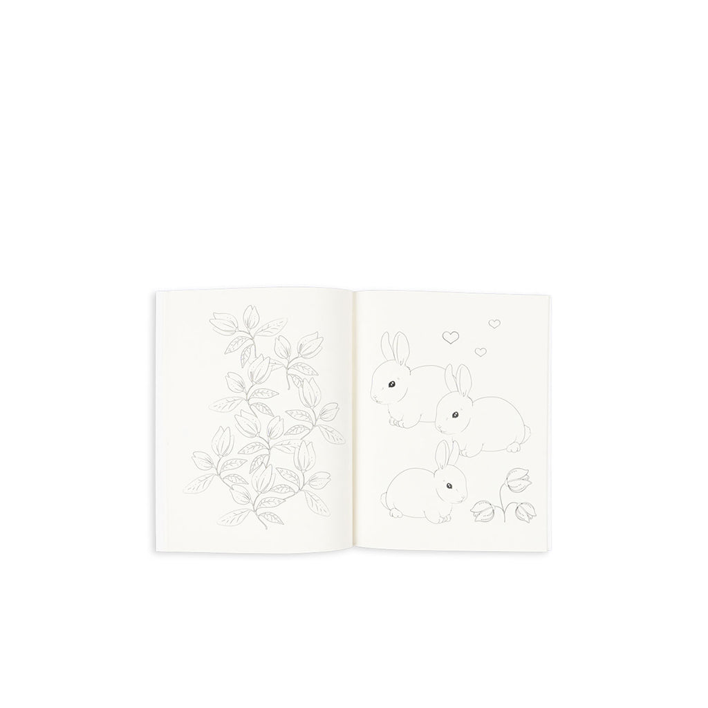 Konges Sløjd Målarbok och färger, Mizumi