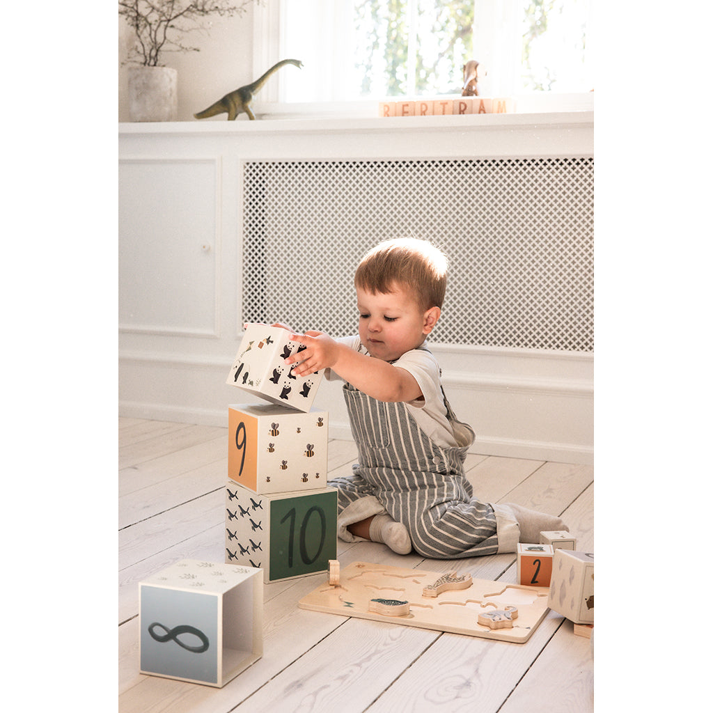 Sebra Stapelboxar, 10 st.