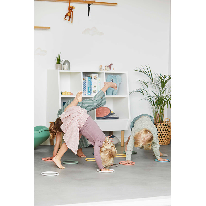 Gonge aktivitetsringar, 6 st – Nordic