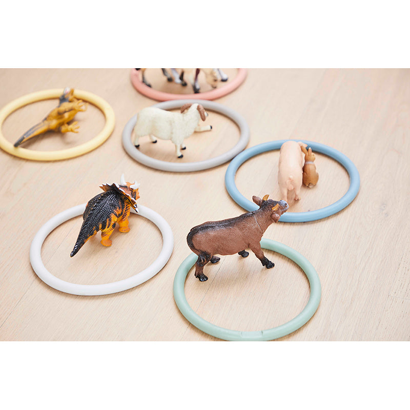 Gonge aktivitetsringar, 6 st – Nordic