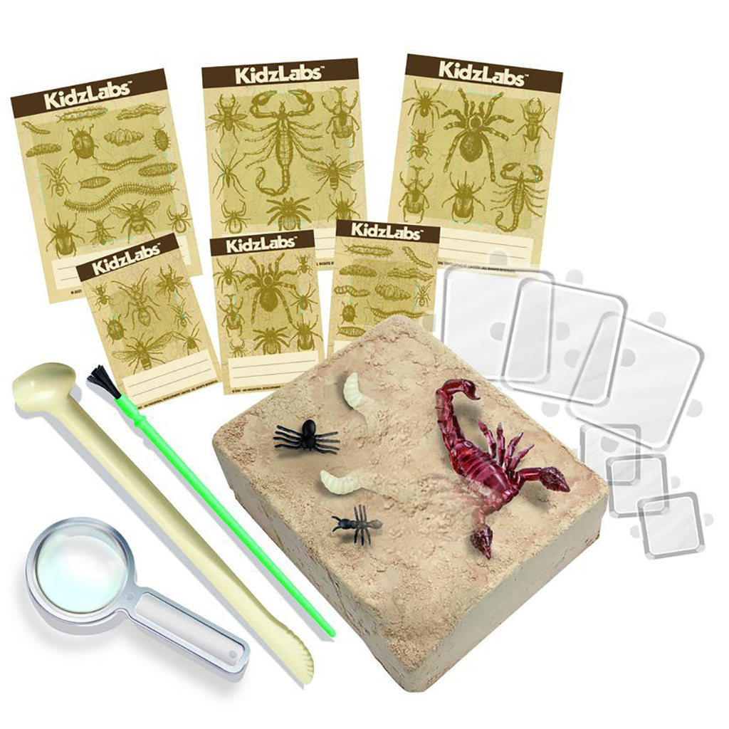 4M KidzLabs, experiment-set - Creepy Crawly grävsats