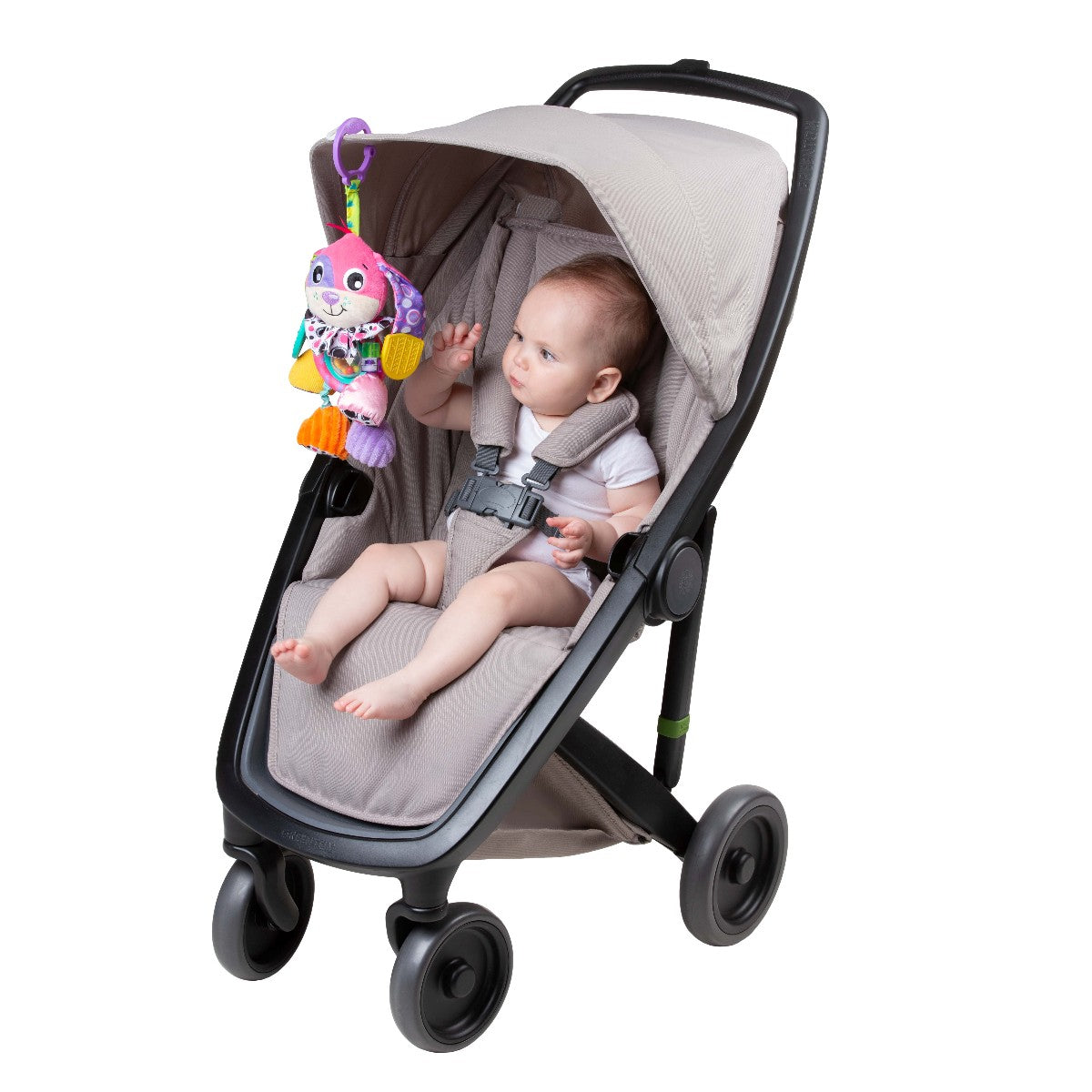 Playgro Dixie babyleksak, aktivitetshund med upphängning