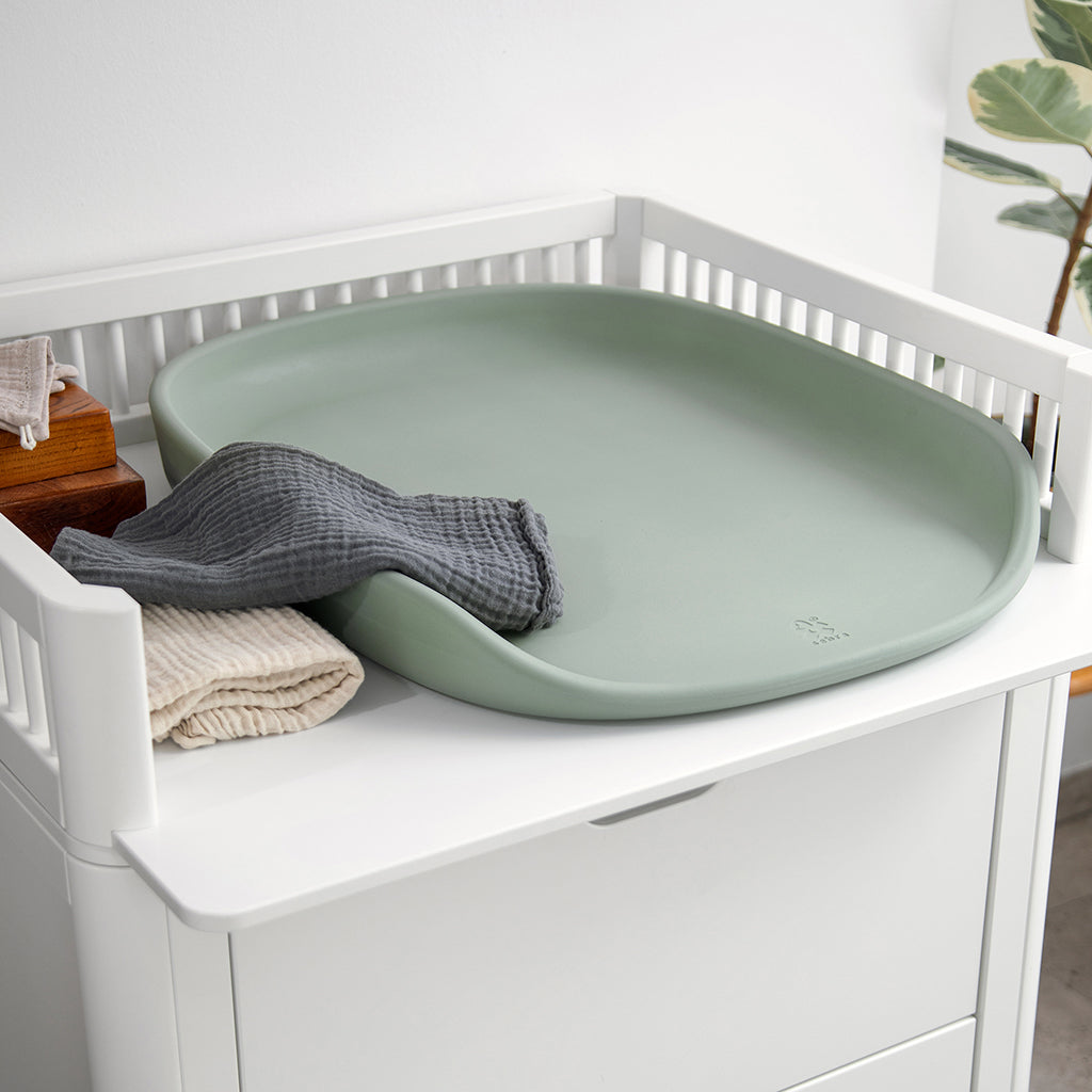 Sebra skötbädd, Seagrass