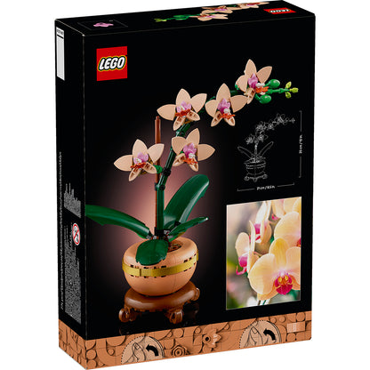 LEGO® Botanicals, Miniorkidé