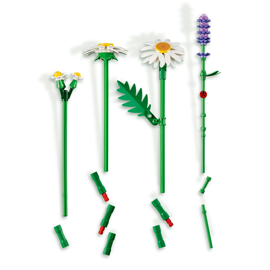 LEGO® Botanicals®, Prästkragar