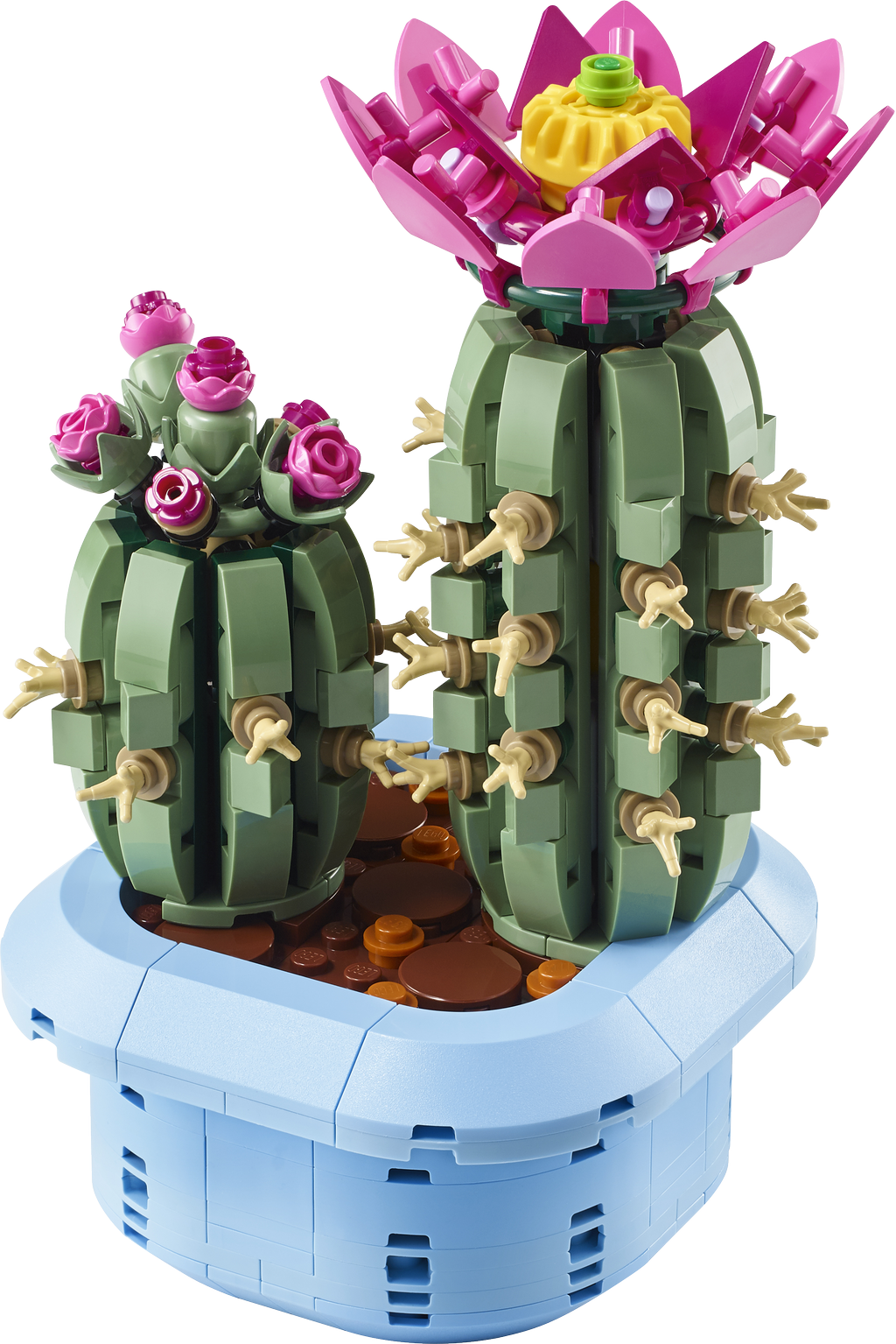 LEGO® Botanicals®, Blommande kaktus