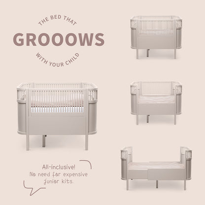 Sebra säng, baby och Jr. - Birchbark Rose