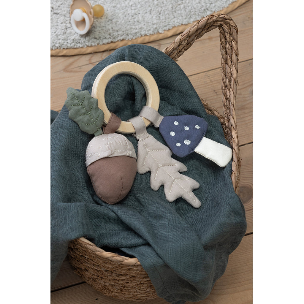 Sebra skallra med löv, svamp och ekollon