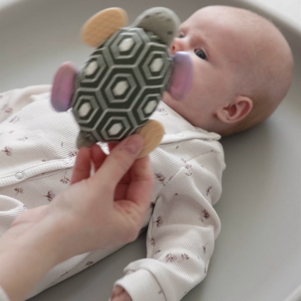 Sebra aktivitetsrassel med spegel, sköldpadden Turbo