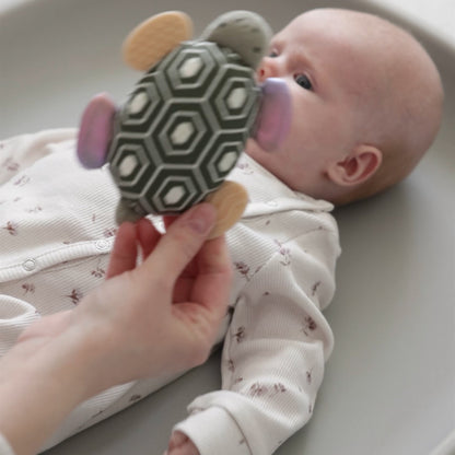 Sebra aktivitetsrassel med spegel, sköldpadden Turbo