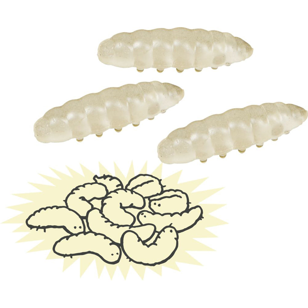 Wild+ cool, Selvlysende maddiker