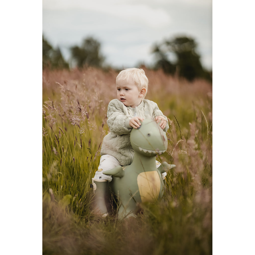 Hitta Find that hippo, hoppedjur, Dinoen Dexter