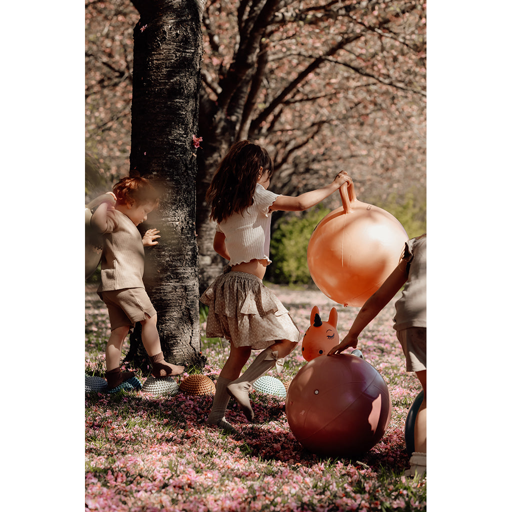 Hitta den flodhästen, hoppedyr, Räven Lela