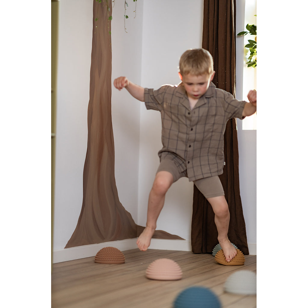 Find that Hipp, Sansesten, set med 4 st - Solnedgång