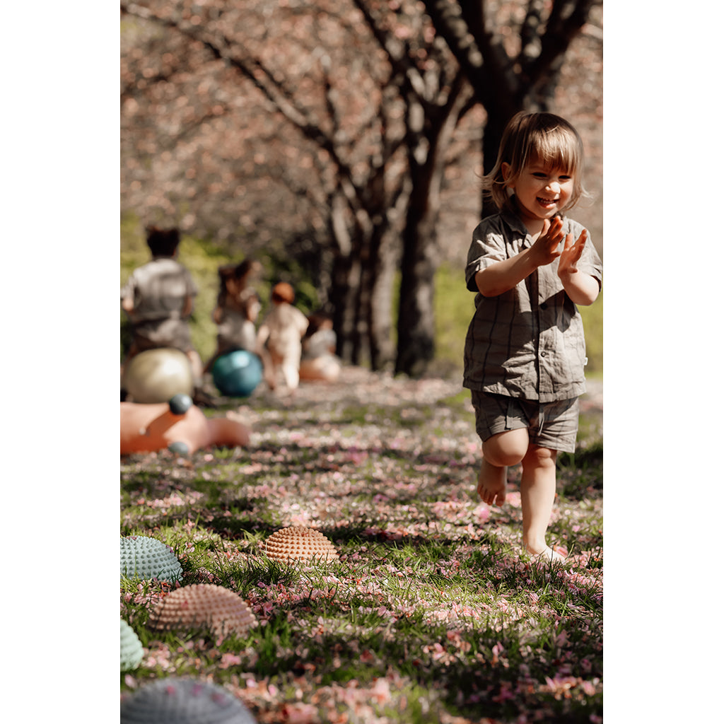 Find that Hipp, Sansesten, set m. 4 st. - Soluppgång