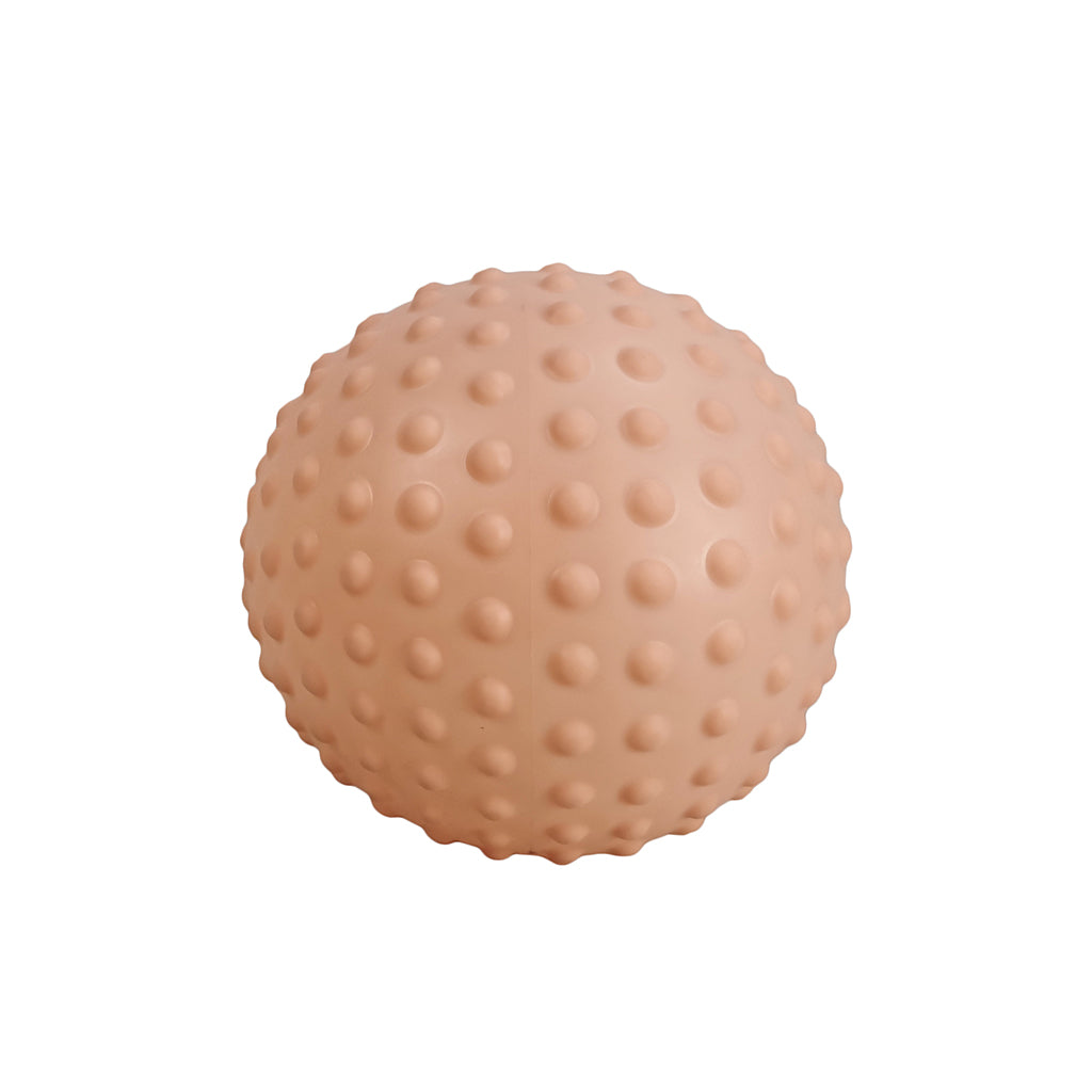 Find that Hippo Sansebold, Stor - Desert Sand