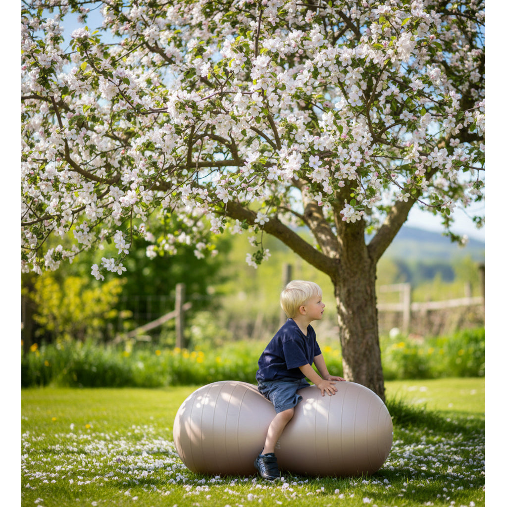 Upptäck den hippoformade balansbollen Peanut, mörkgrå