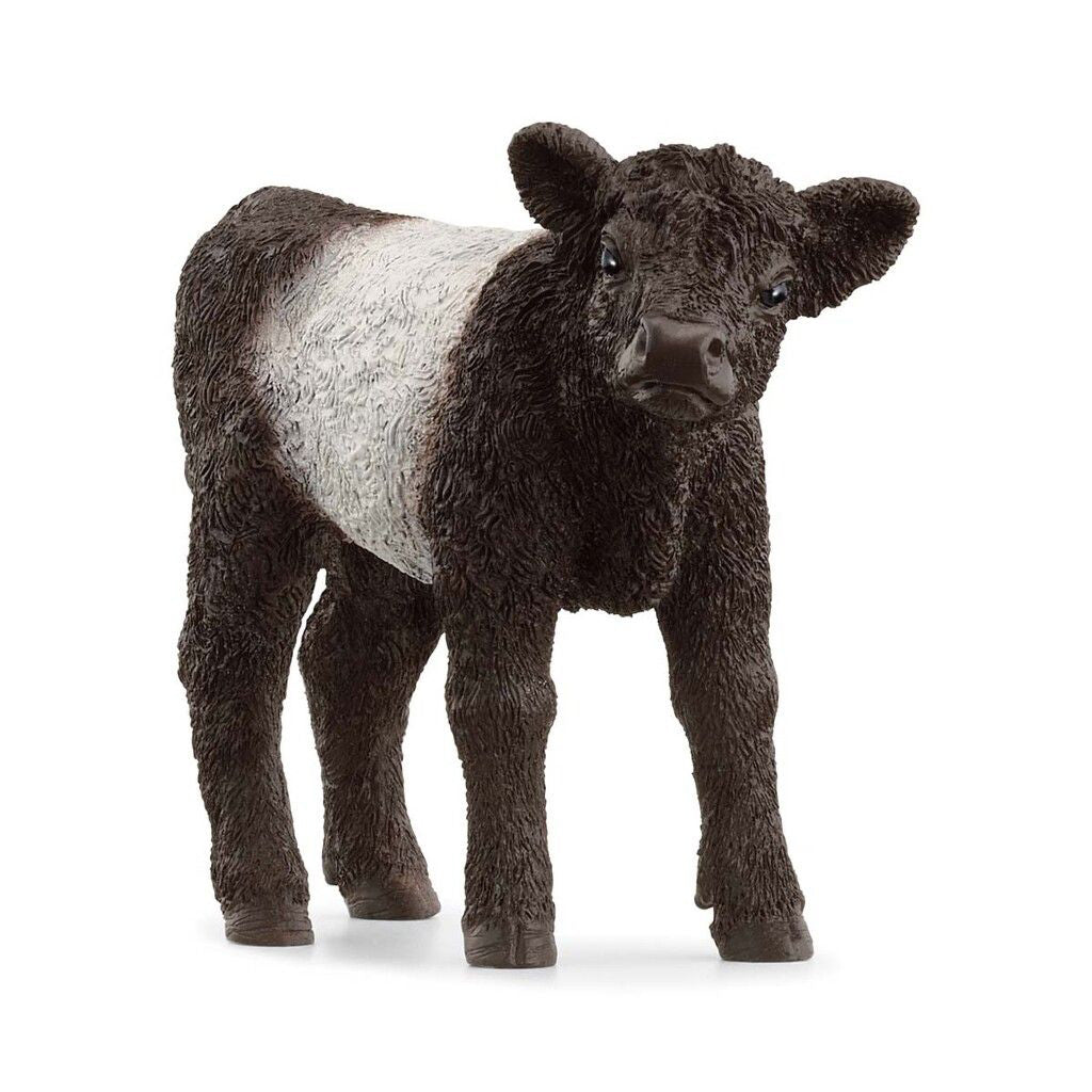 Schleich Galloway kalv