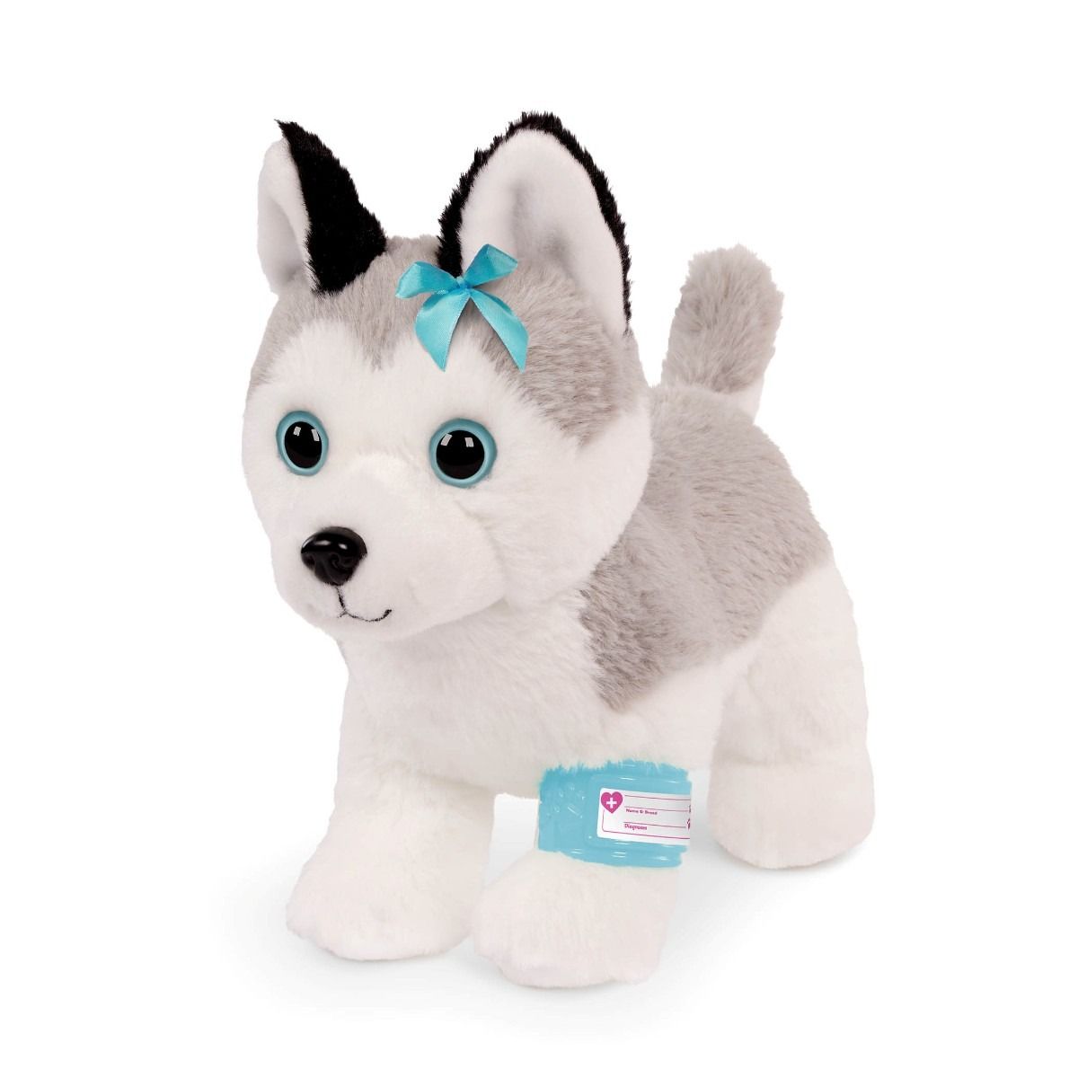 Pucci Pups Husky hos veterinären