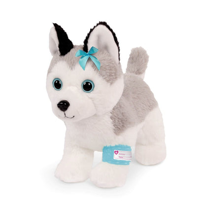 Pucci Pups Husky hos veterinären