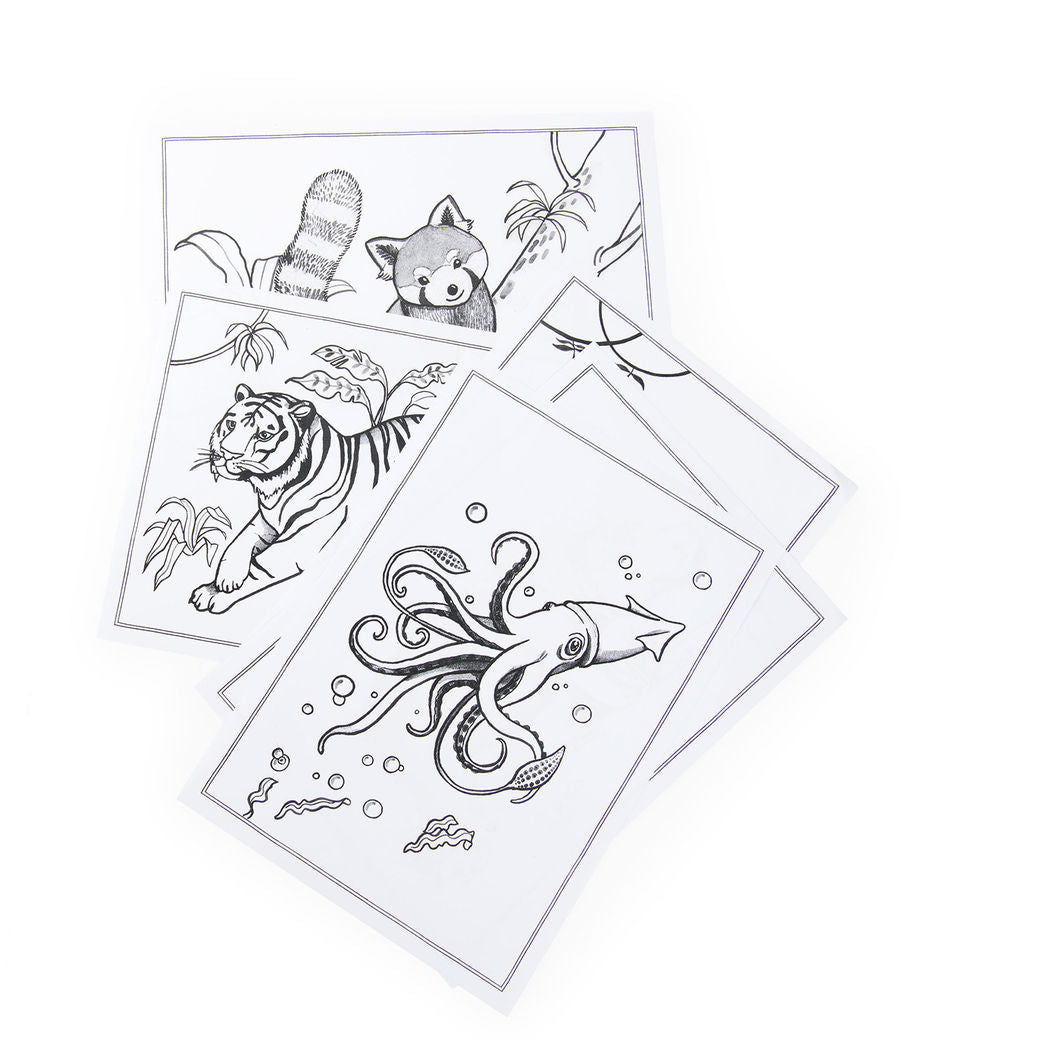 Moulin Roty Ritbräda med ljus, Tout autour du monde