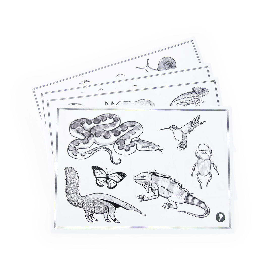 Moulin Roty Ritbräda med ljus, Tout autour du monde