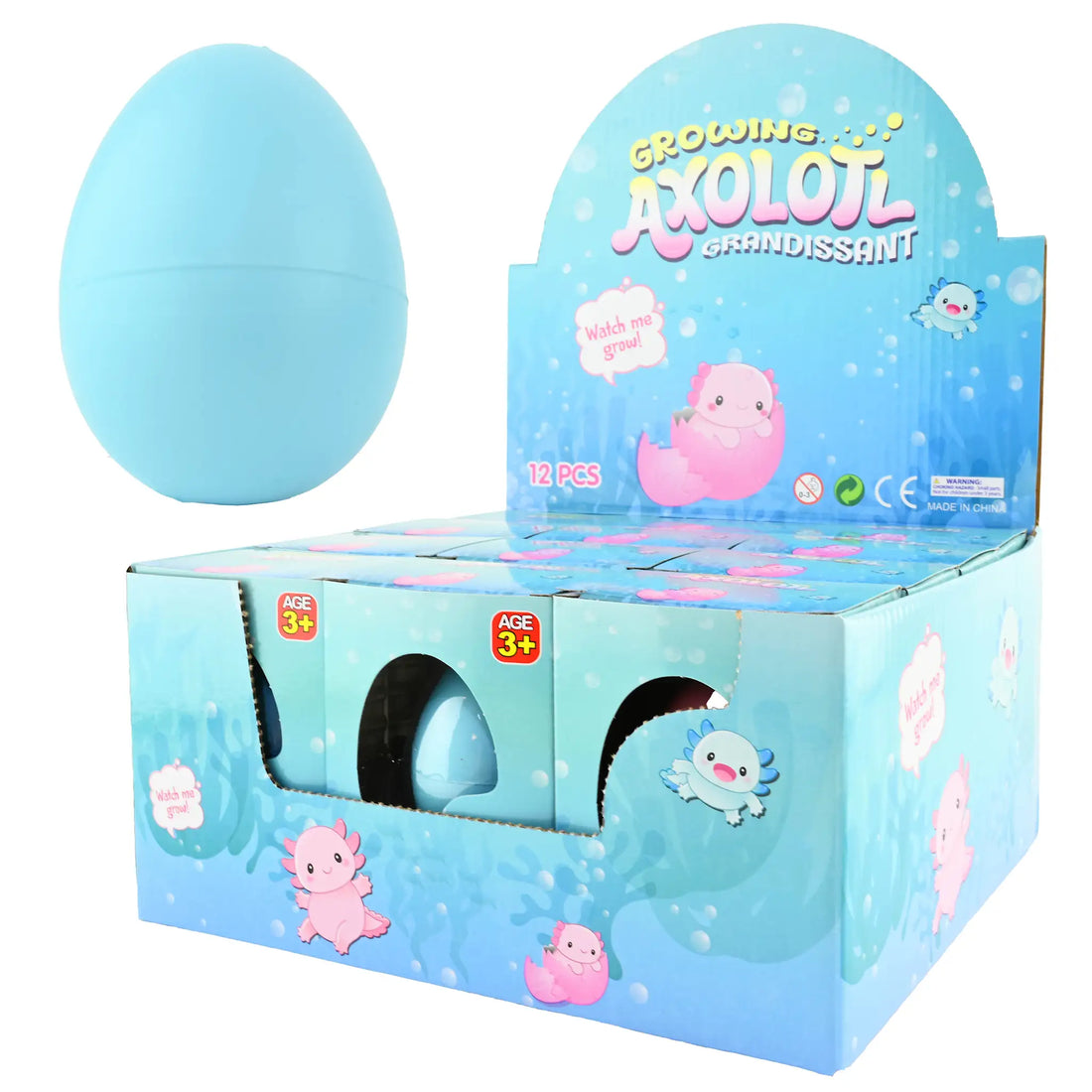 Robetoy, Odla din egen axolotl