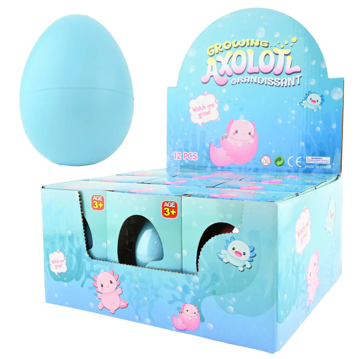 Robetoy, Odla din egen axolotl