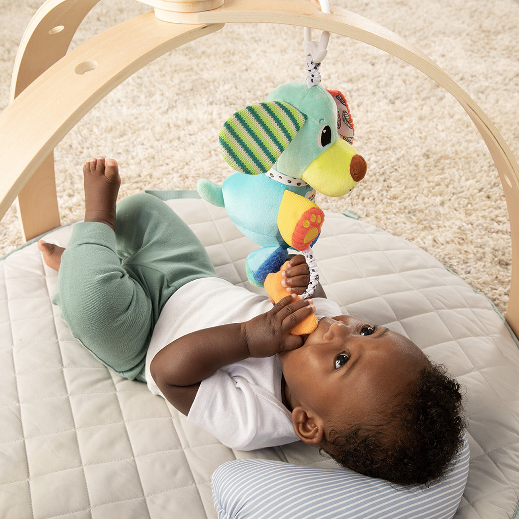 Lamaze Pupsqueak, Hund med ljud