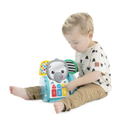 BABY Einstein Chase &amp; Tap Earl™ kryp- och aktivitetsleksak