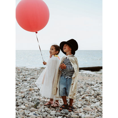 Marvins Magic trolleriset, Rabbit &amp; Top hat