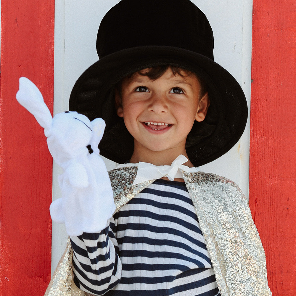 Marvins Magic trolleriset, Rabbit &amp; Top hat