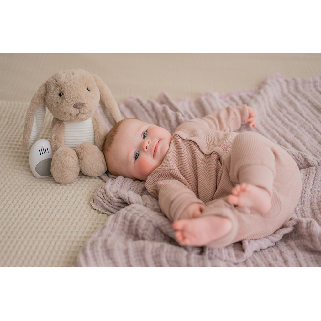 Flow Amsterdam Hjärtljudsnalle, Milo - Brown