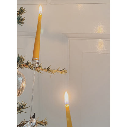 Konges Sløjd ljus till födelsedagståg, Nature