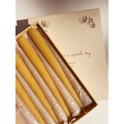 Konges Sløjd ljus till födelsedagståg, Nature