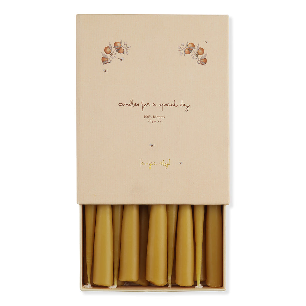 Konges Sløjd ljus till födelsedagståg, Nature