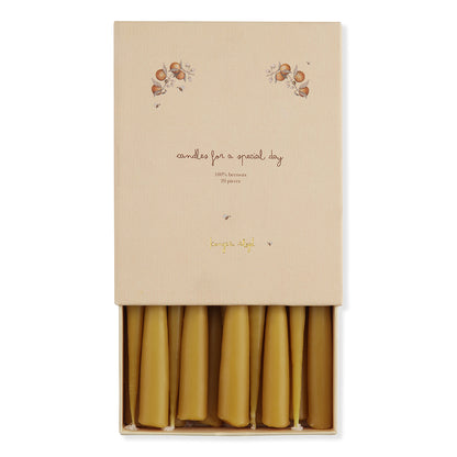 Konges Sløjd ljus till födelsedagståg, Nature